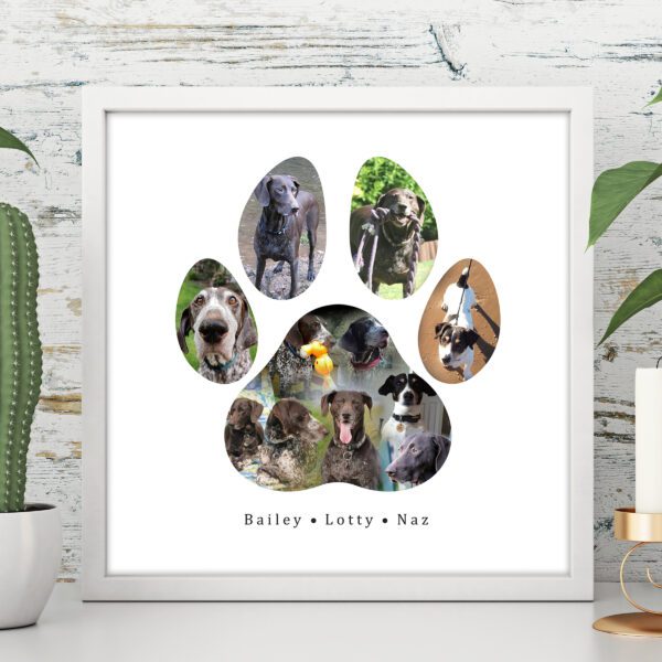 paw print photo collage